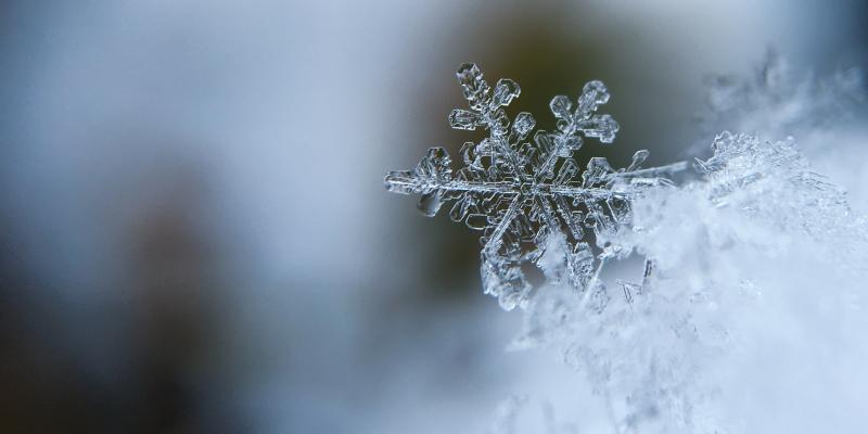 Illustration: A picture of a frosty snowflake. 