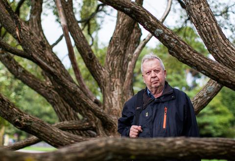 Kuvassa emeritusprofessori ja tietokirjailija Matti Vuento suuren puun alla kuvattuna.